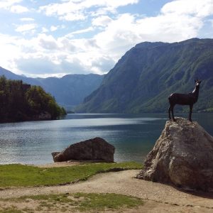 lago bohinj eslovenia ver