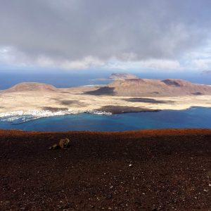 fuerteventura o lanzarote cual mejor