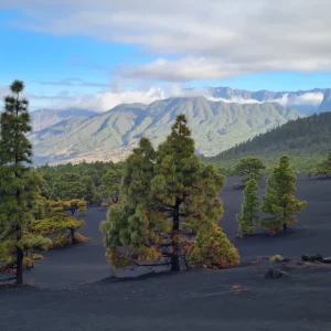 qué ver en la isla de la Palma fotos