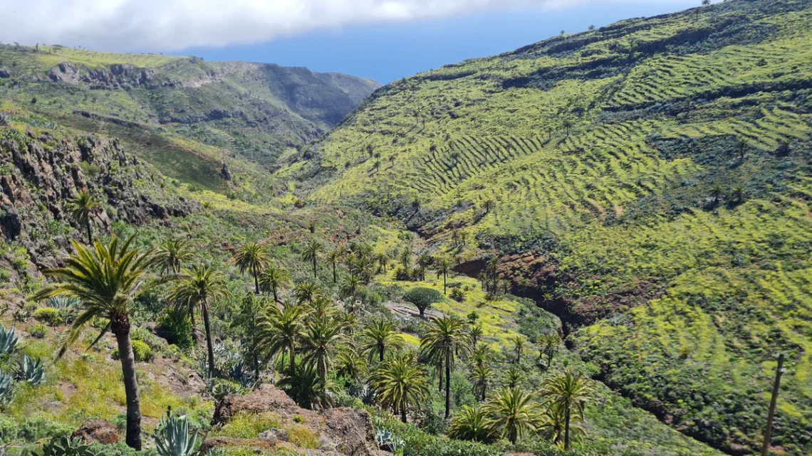 Mirador con el drago de alagán abajo